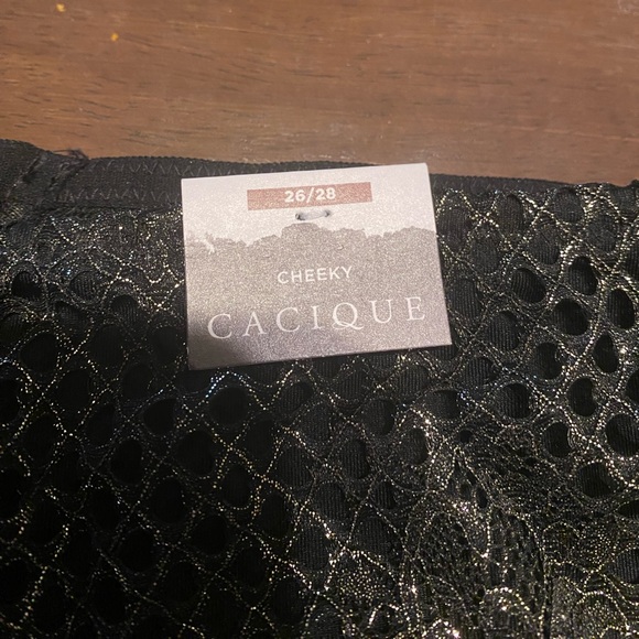 NWT Lane Bryant/Cacique Bra and Panty set 46DD 26/28 - Picture 10 of 14